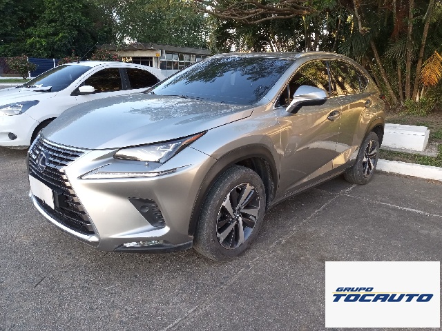 LEXUS NX 300H 2.5 LUXURY ANO 2018/2019